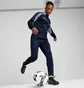 Бутсы женские Puma Ultra 5 Match+ Fg/Ag Black 107686-02