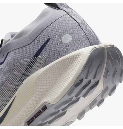 Кроссовки мужские Nike Pegasus Trail 5 Gtx Grey FQ0908-006