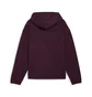 Толстовка мужская Puma Mapf1 Statement Violet 627303-08