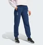 Штаны женские Adidas Poland Future Icons Blue JF9047