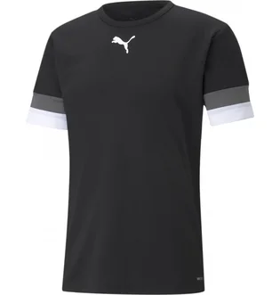 Футболка мужская Puma Teamrise Jersey Black 704932-03