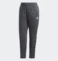 Штани жіночі Adidas Essentials Tape Grey GE1132