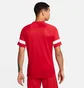 Футболка мужская Nike M Nk Df Acd21 Top Red Cw6101-658