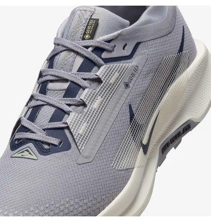 Кроссовки мужские Nike Pegasus Trail 5 Gtx Grey FQ0908-006