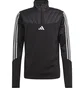 Кофта мужская Adidas Tiro 23 Club Winterized Sweatshirt Black IA5373
