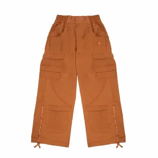 Штаны женские Air Jordan Heavyweight Chicago Pants Brown FD7215-243