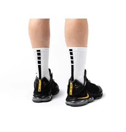 Кросівки унісекс Nike Lebron Xix Low "Witness" Black Dh1270-002