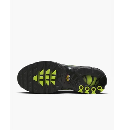 Кросівки чоловічі Nike Air Max Plus Black FQ2381-001