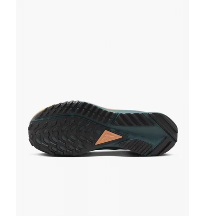Кроссовки женские Nike Pegasus Trail 4 Gore-Tex Green Dj7929-300