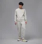 Штаны мужские Air Jordan Flight Fleece Grey FV7251-050