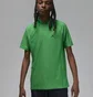 Поло мужское Air Jordan Dri-Fit Adv Sport Green DZ0548-310
