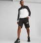 Шорты мужские Puma Essentials Block Tape Black 673344-01