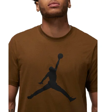 Футболка мужская Air Jordan Jumpman Brown Cj0921-385