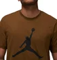 Футболка мужская Air Jordan Jumpman Brown Cj0921-385