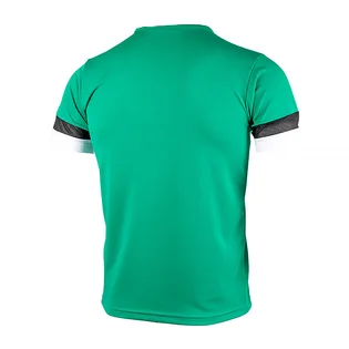 Футболка детская Puma Teamrise Jersey Jr Turquoise 70493805