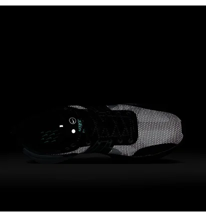 Кросівки чоловічі Nike Lunar Roam Premium Black HV2523-002