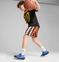 Кроссовки мужские Puma Scoot Zeros Basketball Shoes Blue 310415-06
