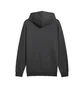 Худи мужское Puma Ess+ Grey 682571-44