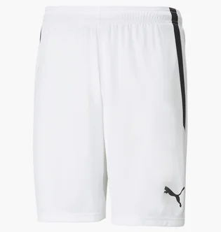 Шорти чоловічі Puma Teamliga White 704924-04