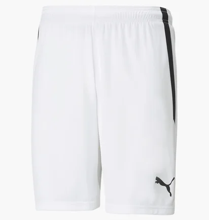 Шорти чоловічі Puma Teamliga White 704924-04