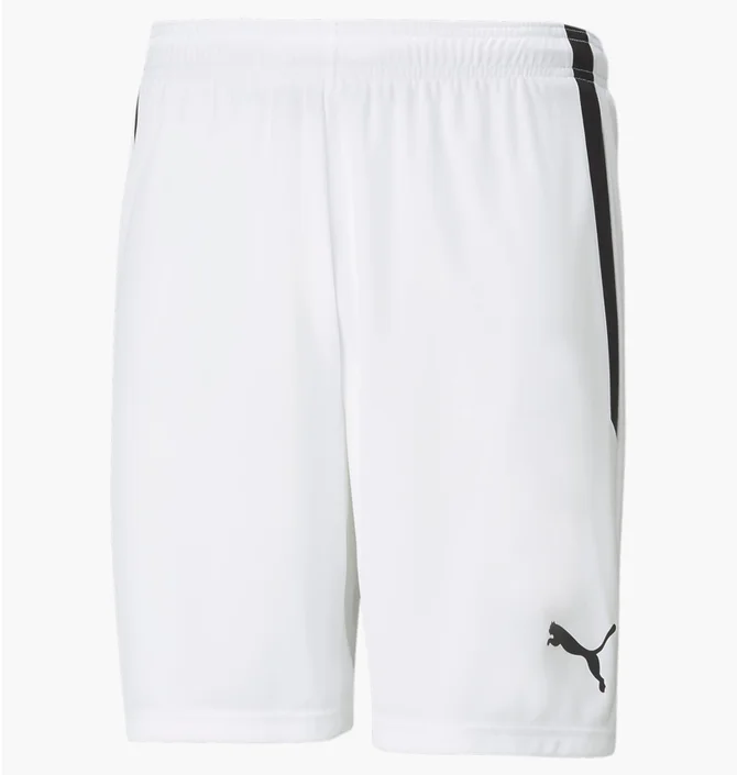 Шорти чоловічі Puma Teamliga White 704924-04