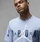 Футболка чоловіча Air Jordan Air Stretch T-Shirt Light Blue DV1445-425