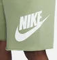 Шорти чоловічі Nike Club Alumni Green Dx0502-386