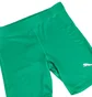 Шорты женские Puma Liga Baselayer Short Green 655924-05