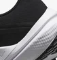 Кроссовки женские Nike Winflo 10 Black DV4023-003