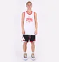 Майка мужская Nike Chicago Bulls White DB1270-100