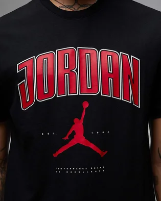 Футболка мужская Air Jordan City 88 Ss Crew Black HQ0009-010