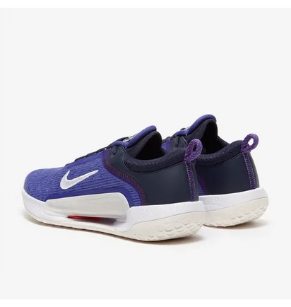 Кроссовки мужские Nike Court Zoom Nxt Hc Violet DH0219-400