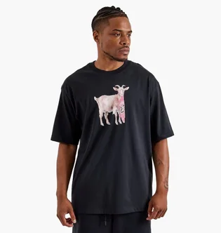 Футболка чоловіча Air Jordan Goat Black IF0786-010