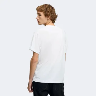 Футболка чоловіча Puma Evostripe White 688229-02