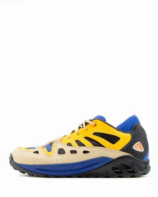 Кроссовки мужские Nike Acg Air Exploraid Hyper Royal Multi FJ1920-400