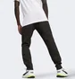 Штаны мужские Puma Evostripe Black 678997-01