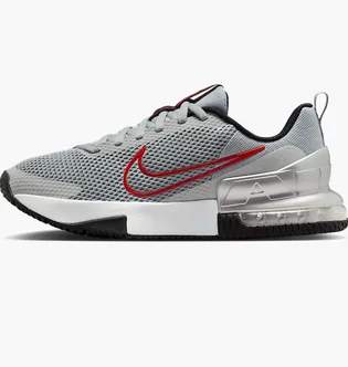 Кросівки чоловічі Nike Air Max Alpha Trainer 6 Grey FQ1833-011