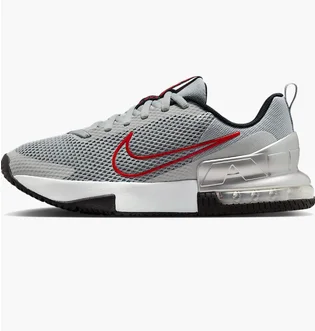 Кроссовки мужские Nike Air Max Alpha Trainer 6 Grey FQ1833-011