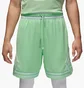 Шорты мужские Air Jordan Sport Dri-Fit Shorts Green HF9910-376