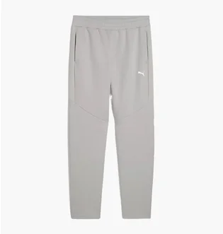 Штани чоловічі Puma Evostripe Grey 688234-63
