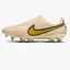 Бутсы унисекс Nike Legend 9 Elite Sg-Pro Ac Beige Db0822-800