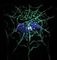Футболка чоловіча Nike Sb T-Shirt Green FZ6710-338