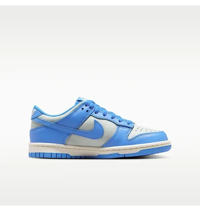 Кросівки дитячі Nike Dunk Low Blue/Grey FB9109-004