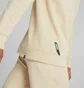 Світшот чоловічий Puma Rad/Cal Beige 673317-88