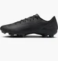 Бутсы унисекс Nike Zoom Vapor 16 Academy Fg/Mg Black FQ8374-002