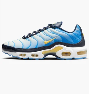 Кроссовки женские Nike Air Max Plus Blue Fd9871-400