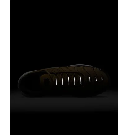 Кросівки чоловічі Nike Air Max Plus Brown DM0032-700