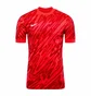Футболка мужская Nike Gardien V Red FD7482-644