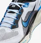Кроссовки мужские Nike Pegasus 41 White HV5218-100