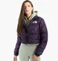 Пуховик жіночий The North Face Print Nuptse Short Violet NF0A5IXT-29J